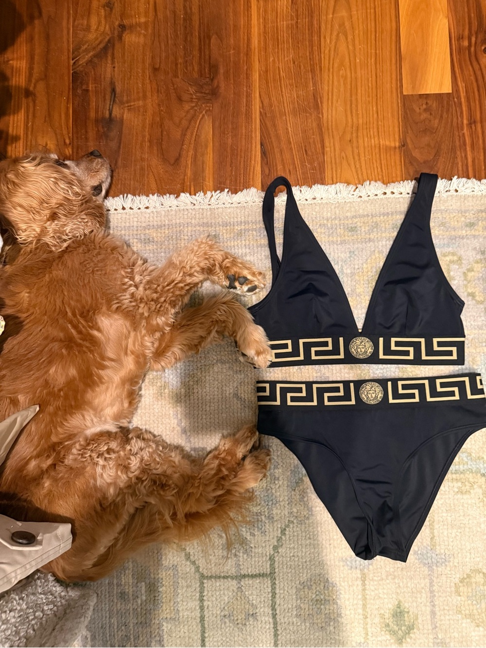 Versace Black and Gold Greek Key Bikini Set SIZE 2 (small)